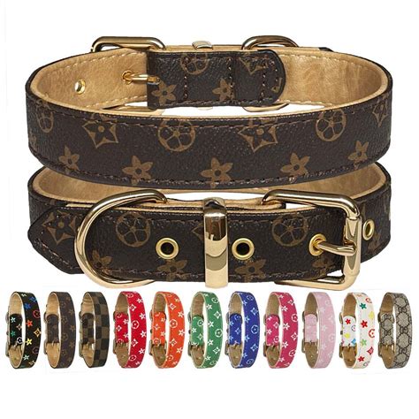 fashionable dog collars and leashes.